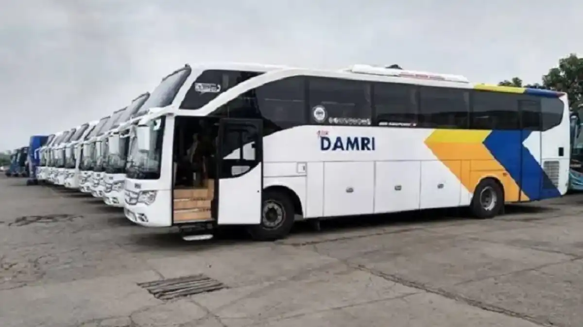 Bus Damri Logistik