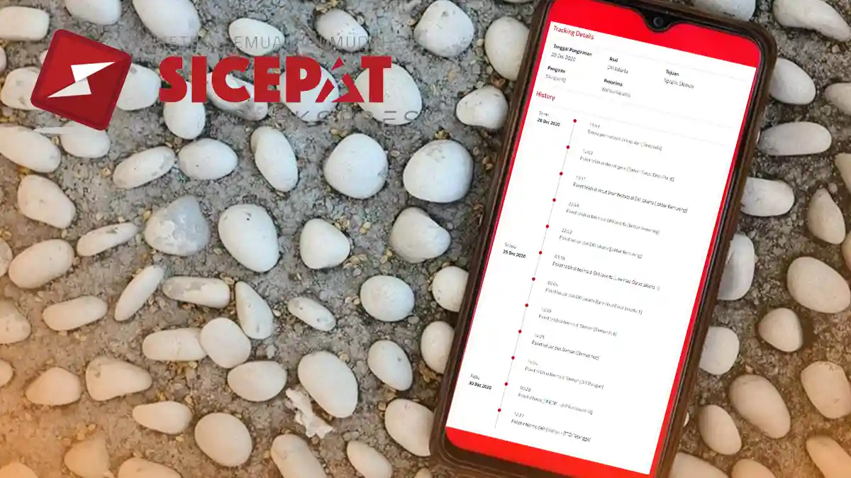 Istilah, Kode dan Arti Status Pengiriman SiCepat