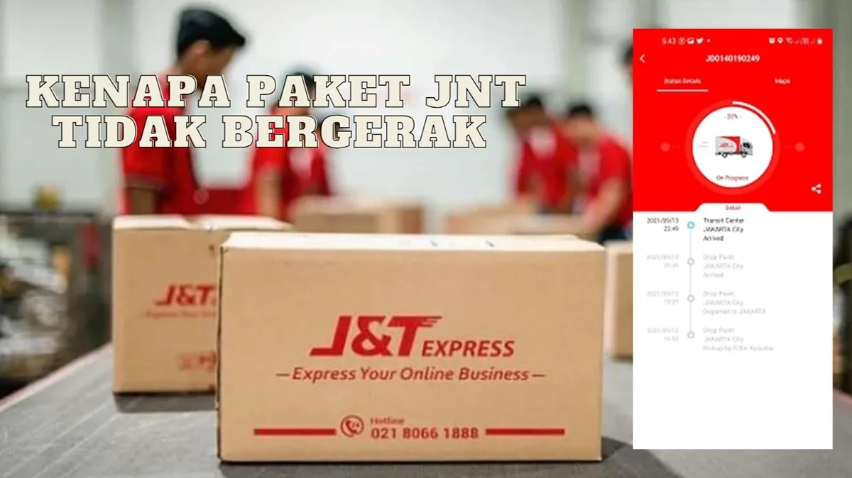 Kenapa Paket JNT Tidak Bergerak, Penyebab dan Cara Mengatasi