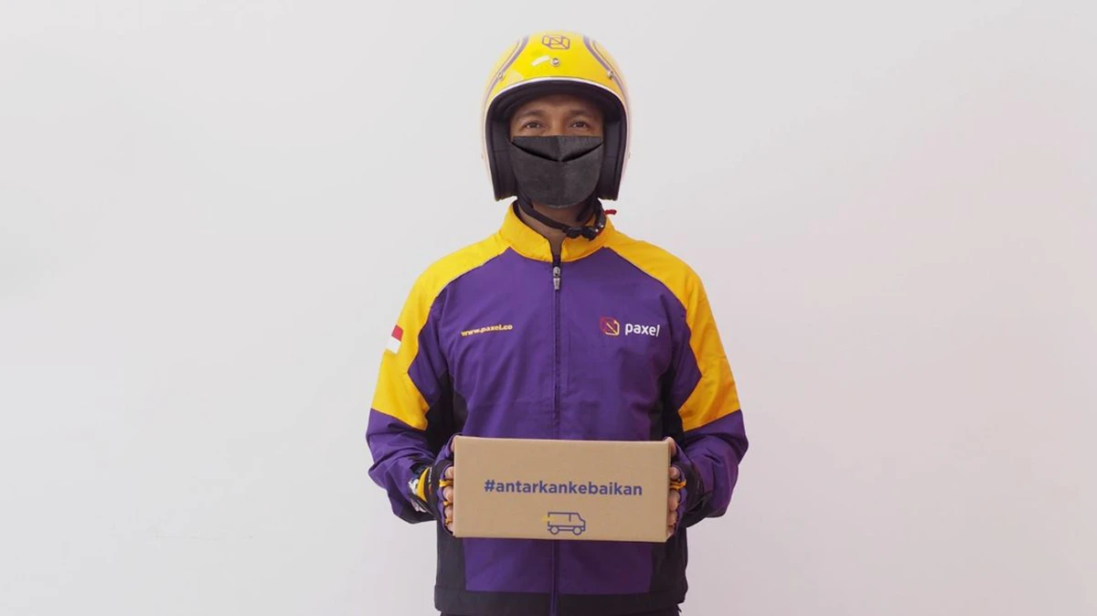 Sekilas Tantang Paxel